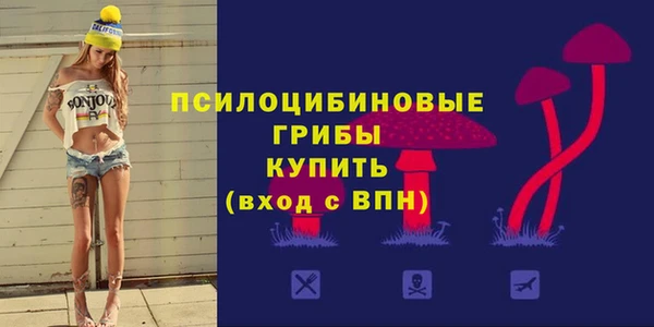 ешки Липки