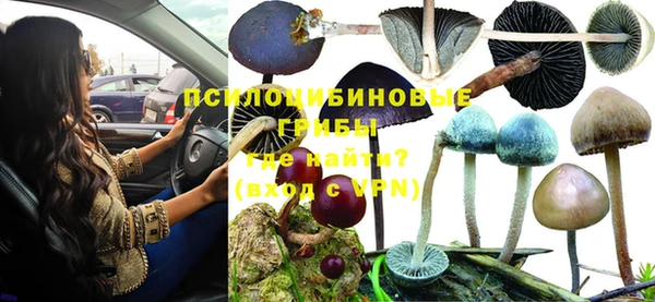 ешки Липки