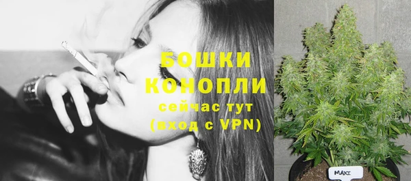 ешки Липки