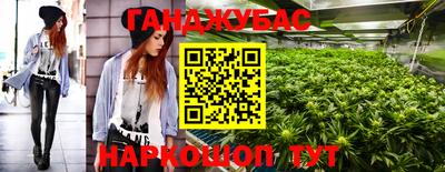 не бодяженный Камышлов