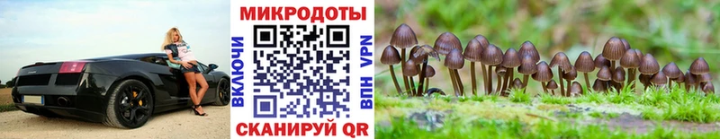 маркетплейс клад  кракен ONION  Мценск  купить наркотики цена  Псилоцибиновые грибы мухоморы 