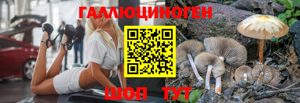 Псилоцибиновые грибы мицелий  Мценск 