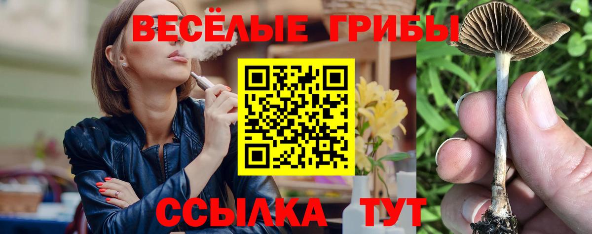 Мценск  Галлюциногенные грибы Psilocybine cubensis  Вход с VPN  Галлюциногенные грибы Psilocybine cubensis 